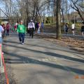 2014 Bridge to Bridge