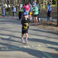 2014 Bridge to Bridge