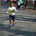 2014 Bridge to Bridge