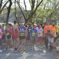 2014 Bridge to Bridge