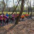 2014 Bridge to Bridge