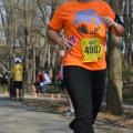 2014 Bridge to Bridge
